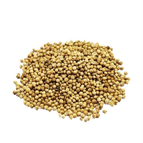 KİŞNİŞ TANE PAKET 100 GR