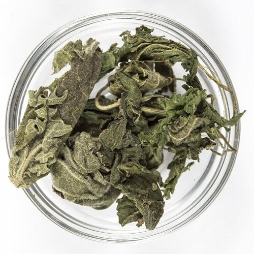 Isırgan Yaprağı  100 GR